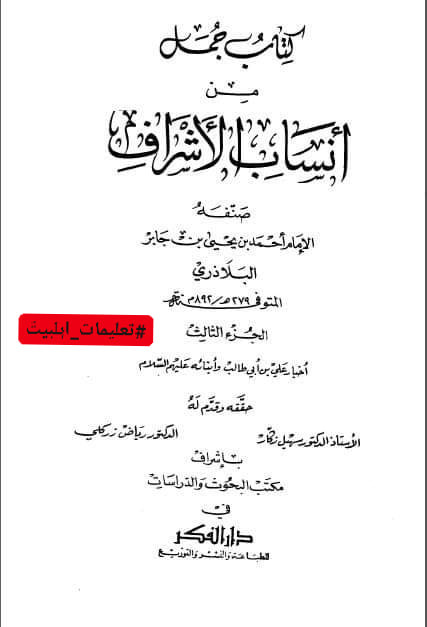امام حسن (علیه السلام) نے حضرت ابوبکر کو منبر سے اتار دیا