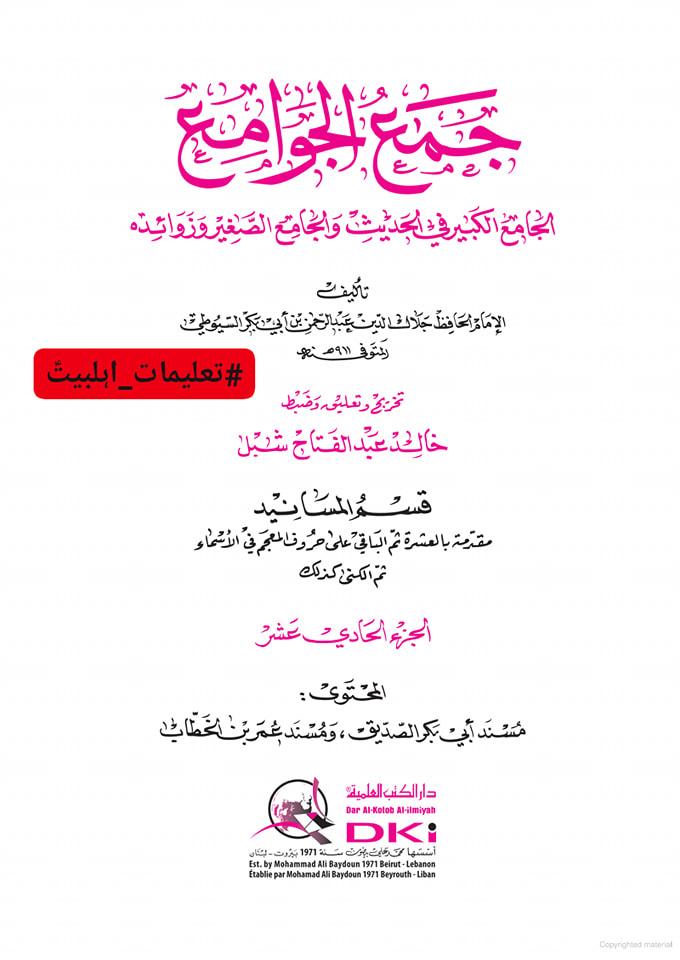 امام حسن (علیه السلام) نے حضرت ابوبکر کو منبر سے اتار دیا