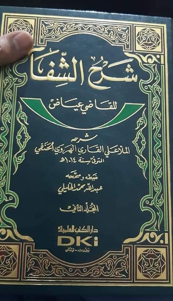 باغی گروہ