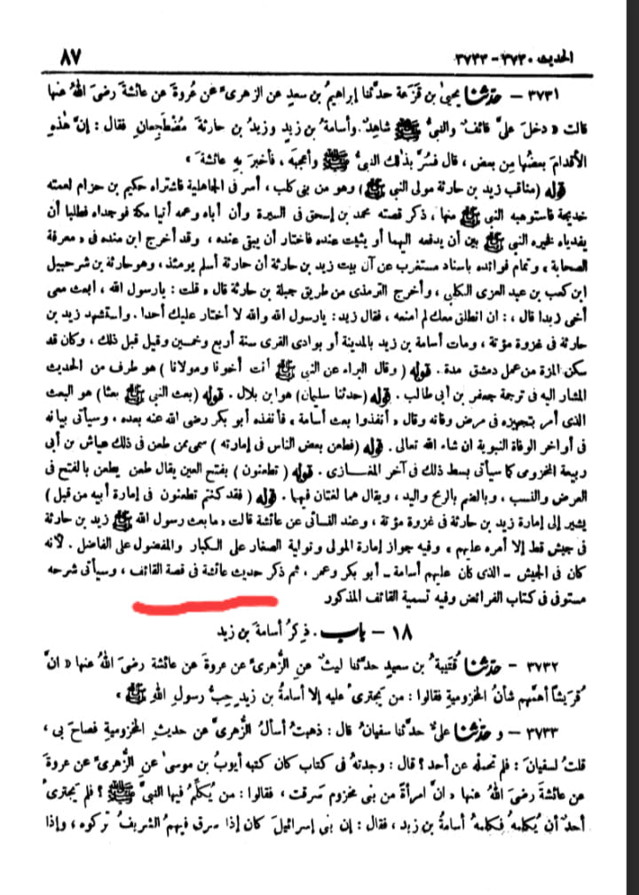 لعنت رسول اللہ ص کی زبان سے