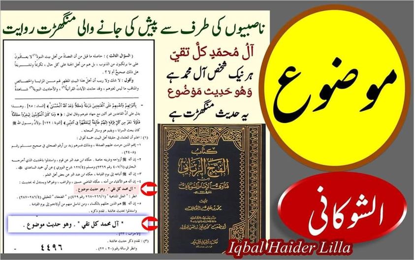 حدیث "آل محمد ؑ کل تقی" کی سندی حیثیت