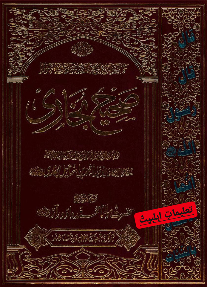 کیا شیعه کتب میں أمیرالمؤمنین ع کو معاذالله گدھا کہا گیا ہے