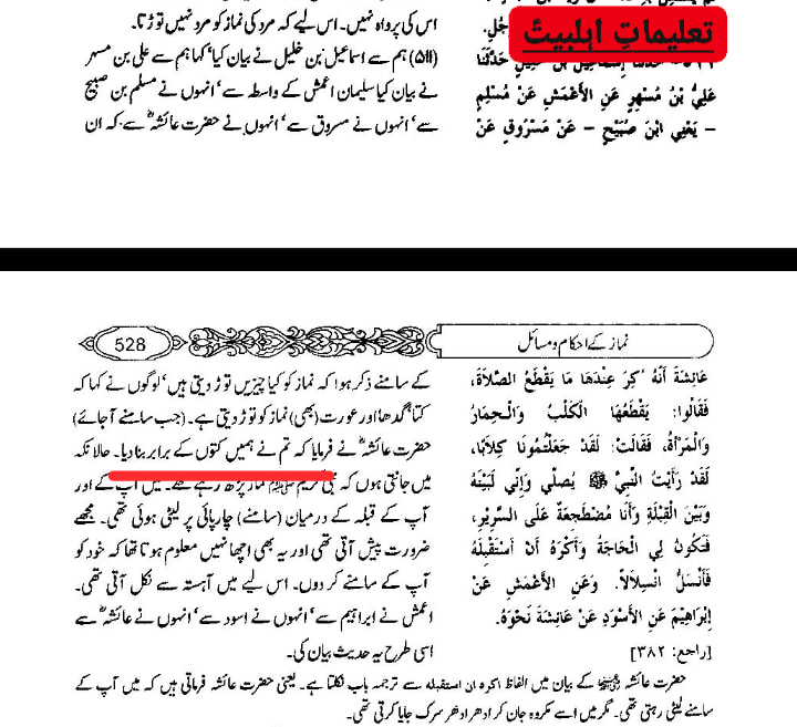 کیا شیعه کتب میں أمیرالمؤمنین ع کو معاذالله گدھا کہا گیا ہے