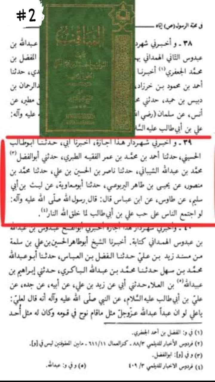 اگر تمام دنیا امیر المومنین علی ؑ کی محبت میں جمع ہو جاتی تو خدا جہنم کو پیدا ہی نہ کرتا