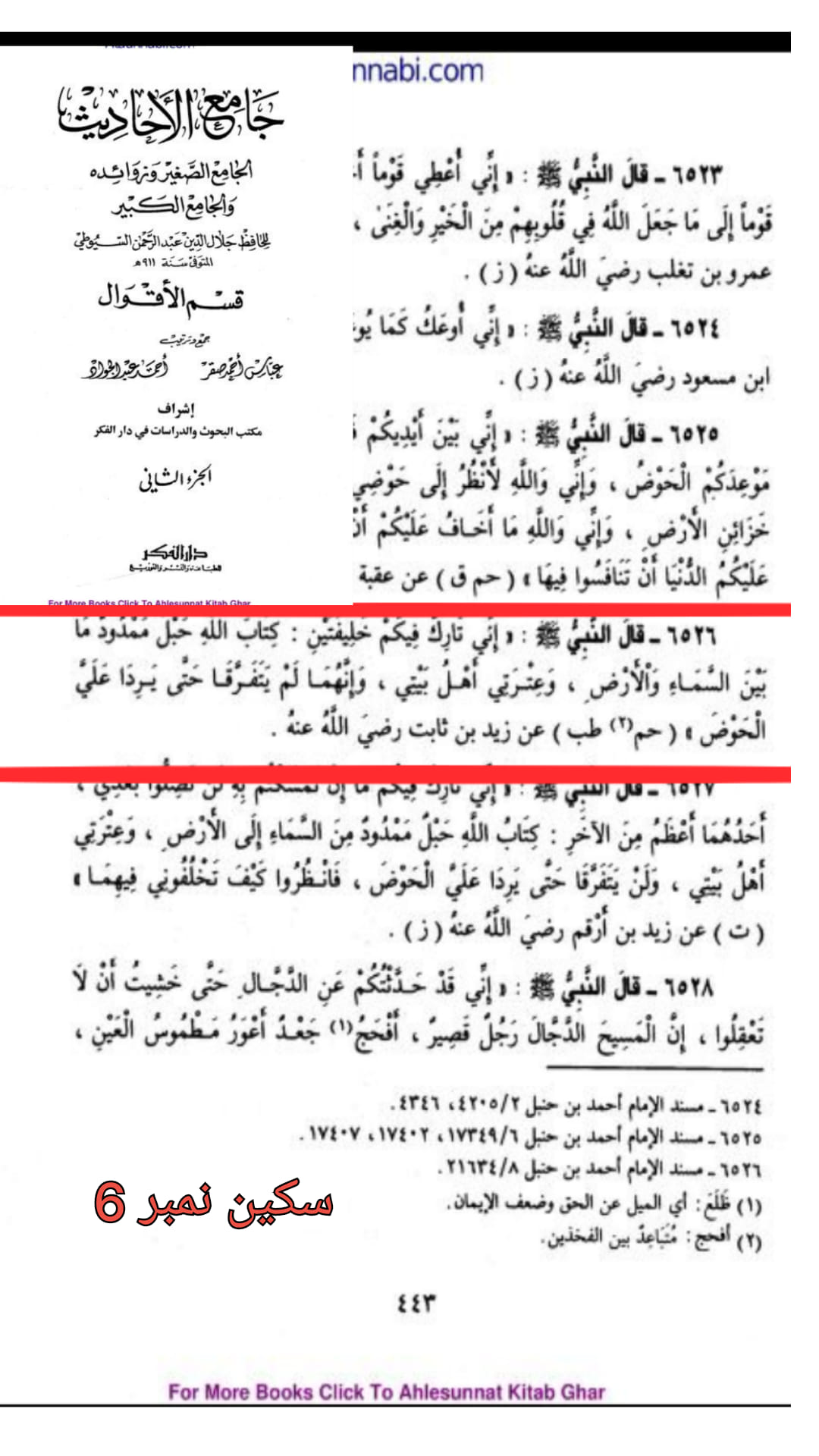 حدیث ثقلین (بمعنی دو خلیفہ)
