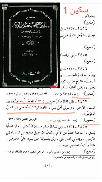 حدیث ثقلین (بمعنی دو خلیفہ)