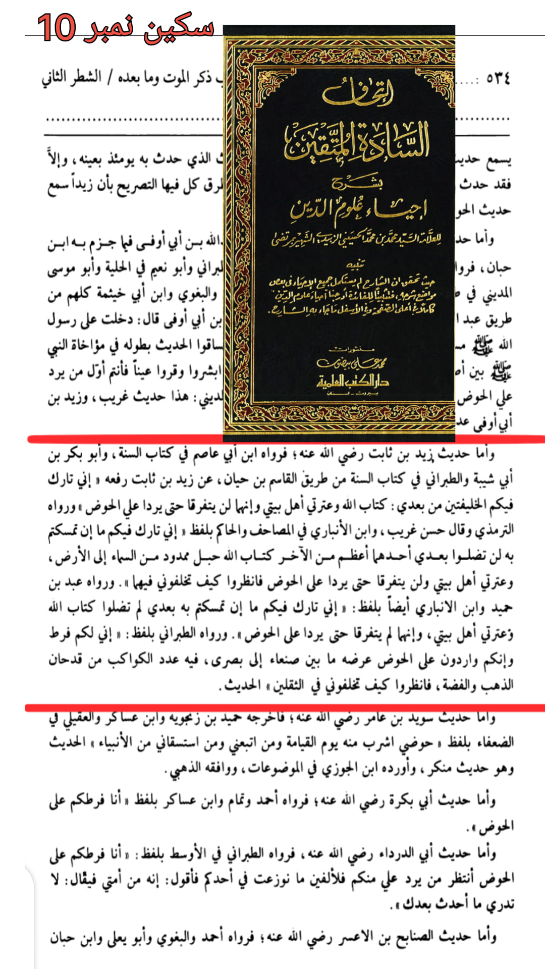 حدیث ثقلین (بمعنی دو خلیفہ)