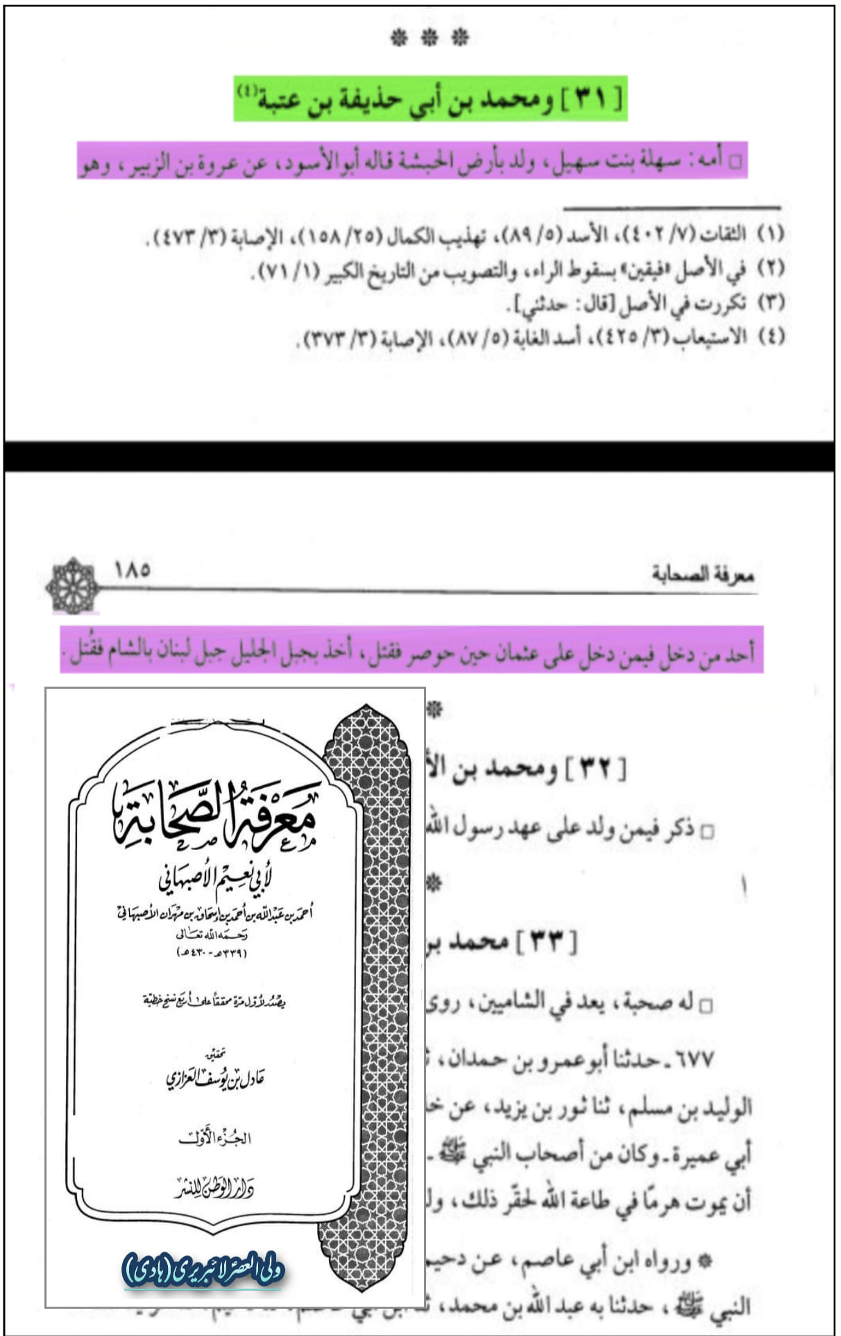 محمد بن ابی حذیفہ