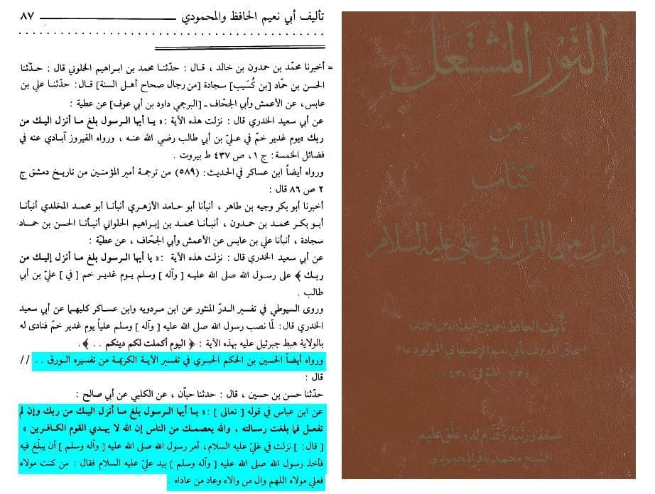 آیت تبلیغ امام علی ع کی شان میں نازل ہوئی