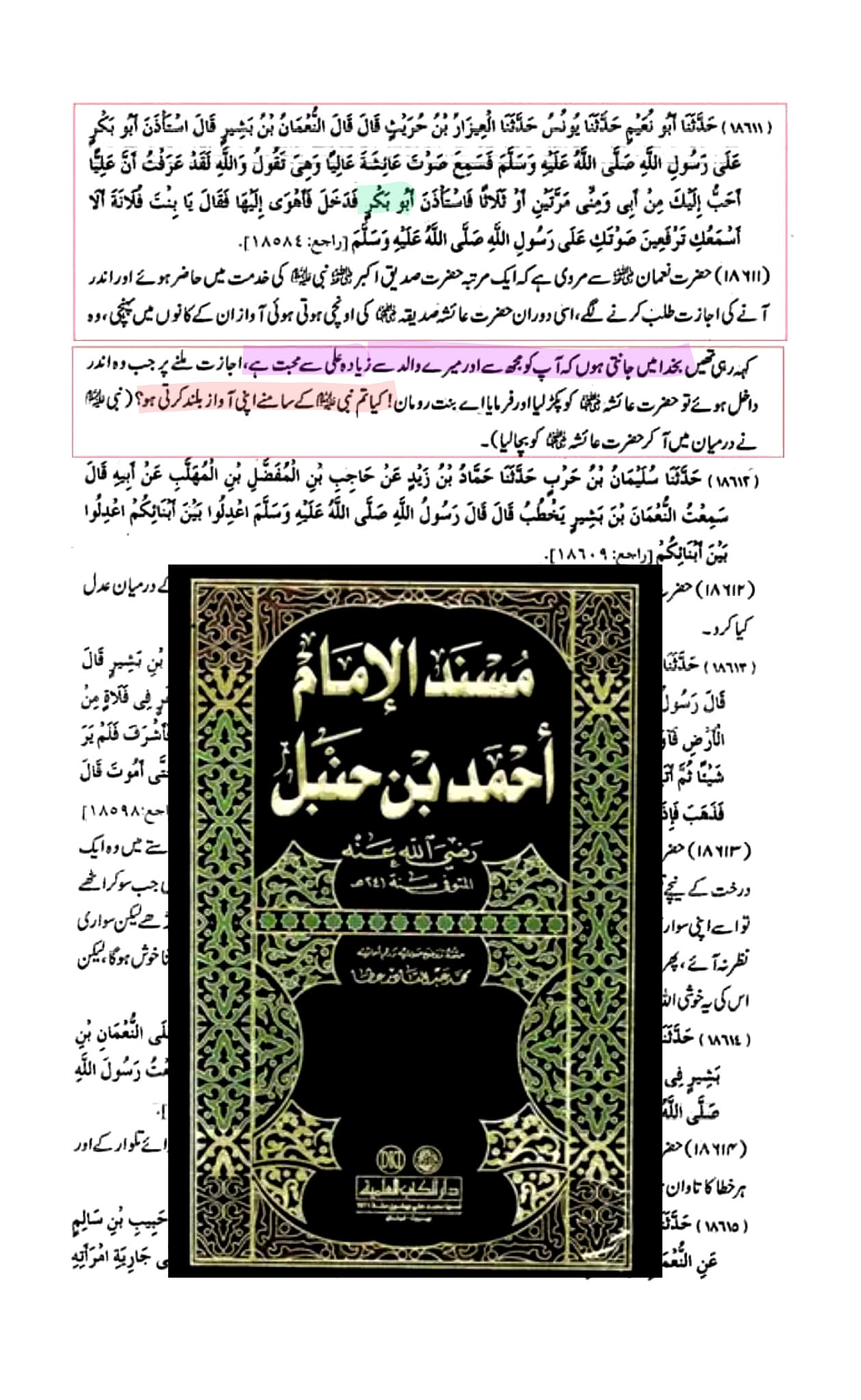 عائشہ کو مولا علی علیہ اسلام کا نام لینا بھی پسند نہیں تھا