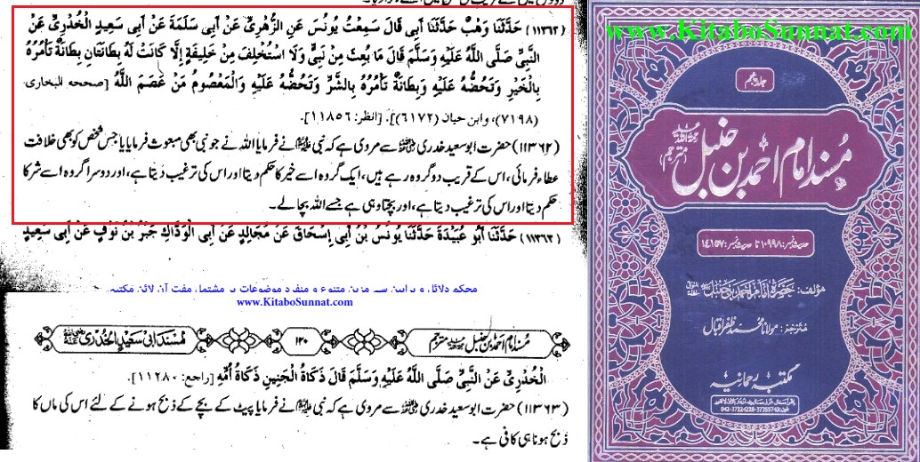 خلافت نبوت سے الگ "الہی منصب" ہے