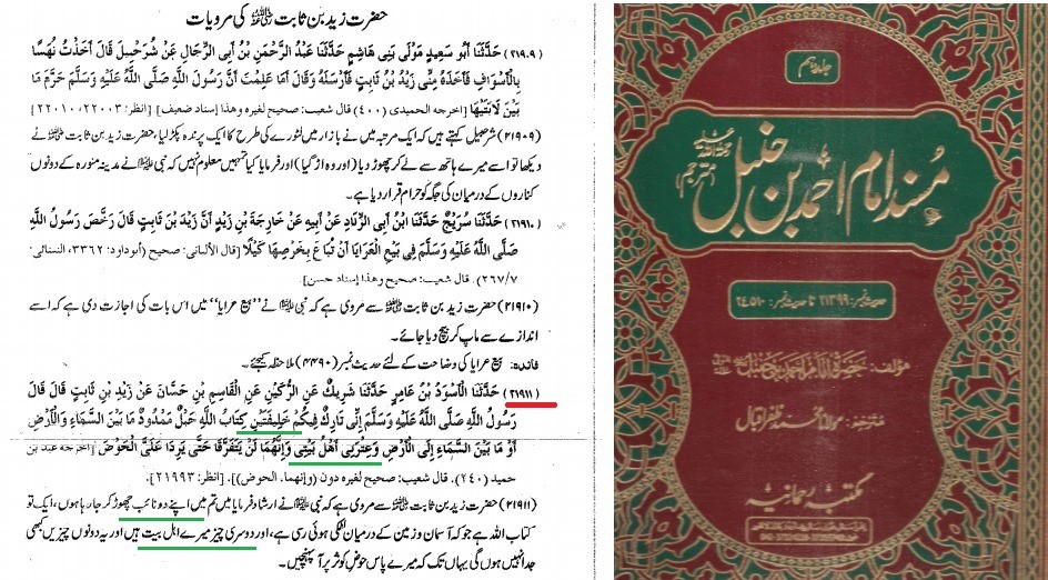 خلافت نبوت سے الگ "الہی منصب" ہے