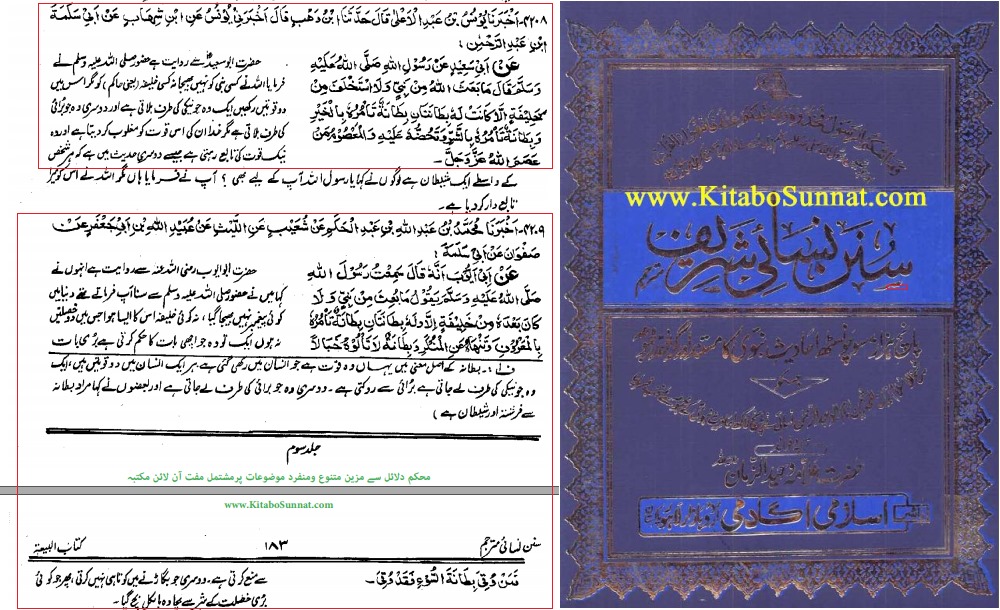 خلافت نبوت سے الگ "الہی منصب" ہے