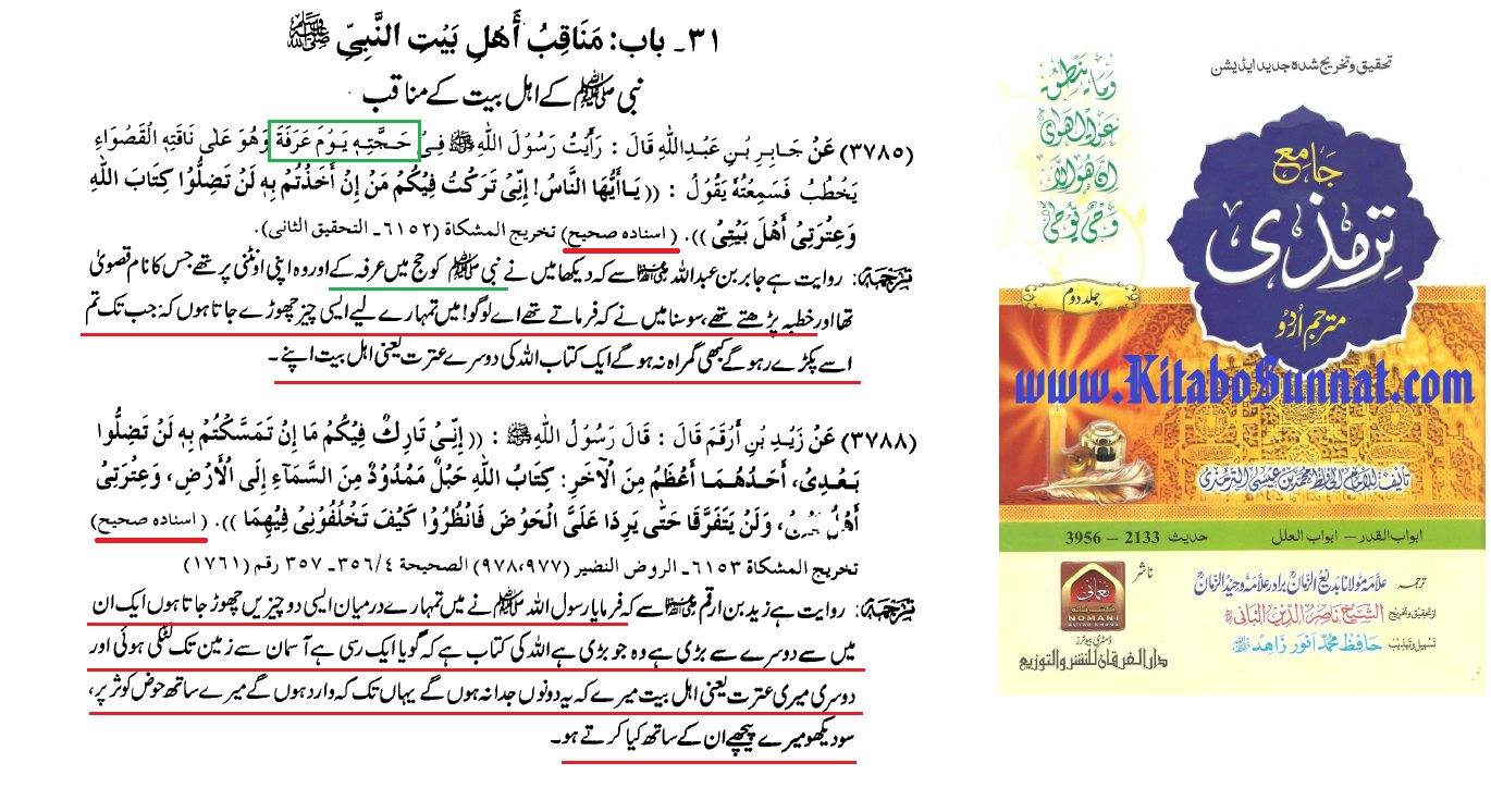 خلافت نبوت سے الگ "الہی منصب" ہے