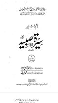 حدیث غدیر کے پس منظر میں کیا لونڈیوں کی شکایات کا معاملہ تھا ؟