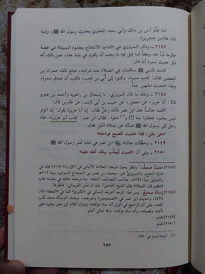 جناب عائشہ بنت ابی بکر کے مطابق انس بن مالک اور ابی سعید الخدری دونوں کو رسول اللہ ﷺ کی احادیث کا علم نہیں تھا