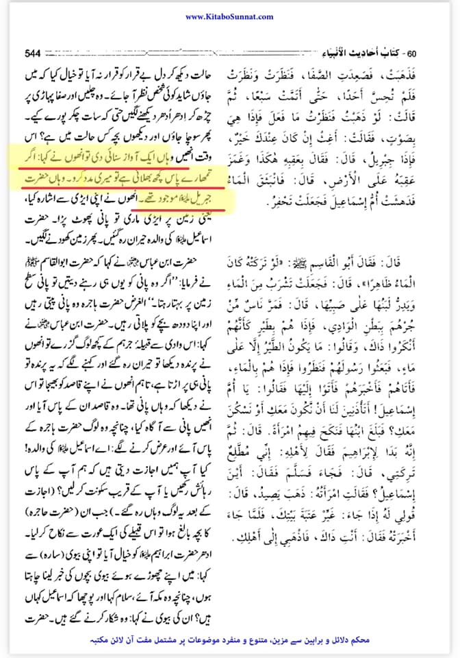 نبی خدا ابراہیم علیہ السلام کی عظیم زوجہ اور نبی خدا اسماعیل کی والدہ محترمہ جناب حاجرہ سلام اللہ علیہا ۔