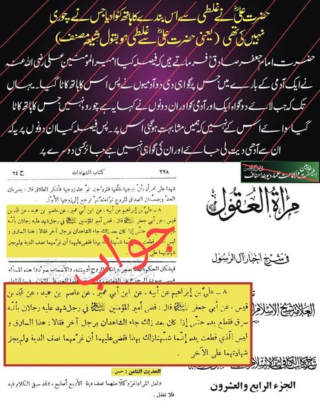 کیا امام علی علیہ السلام نے فیصلہ میں غلطی کی؟