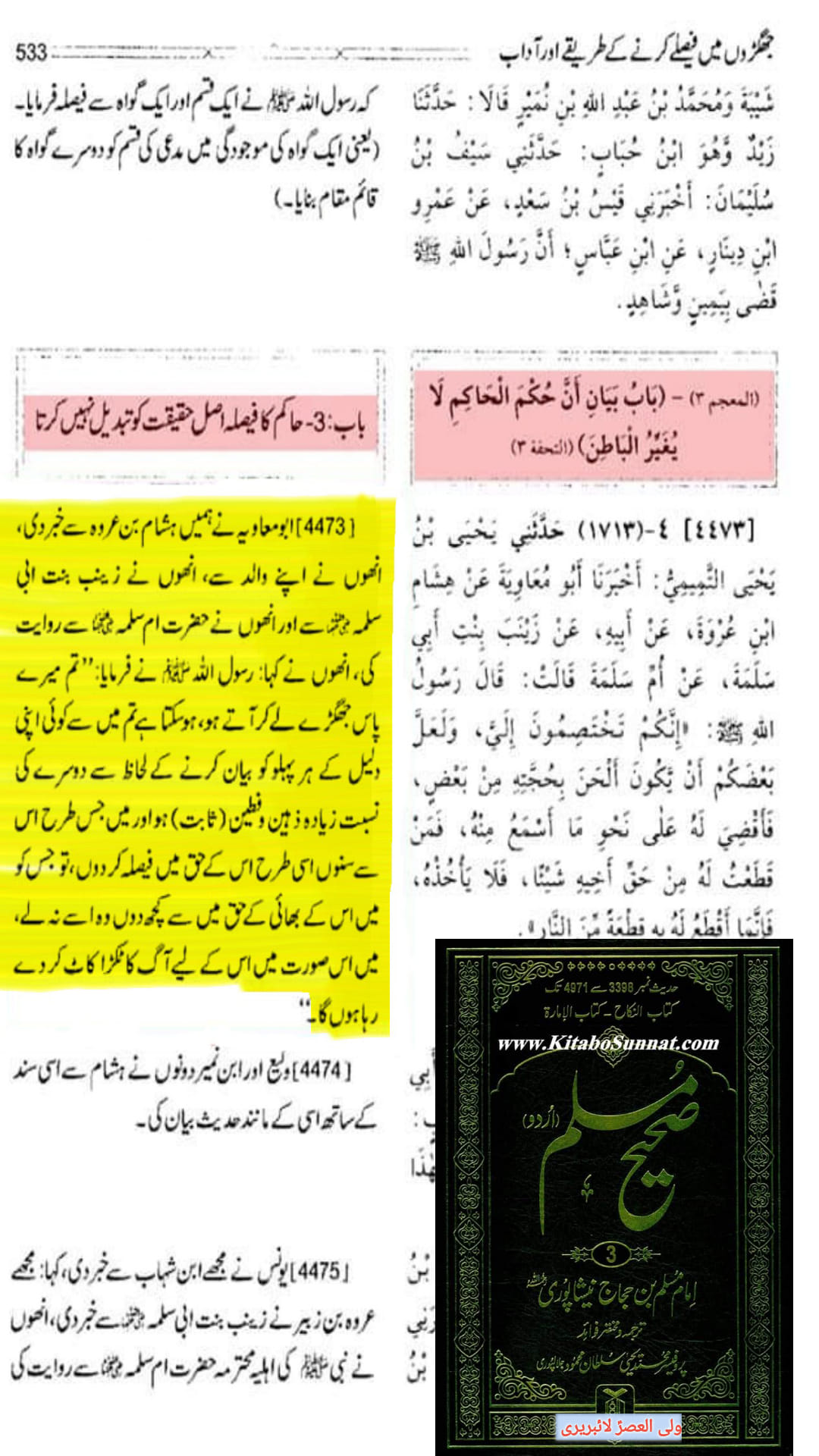 کیا امام علی علیہ السلام نے فیصلہ میں غلطی کی؟