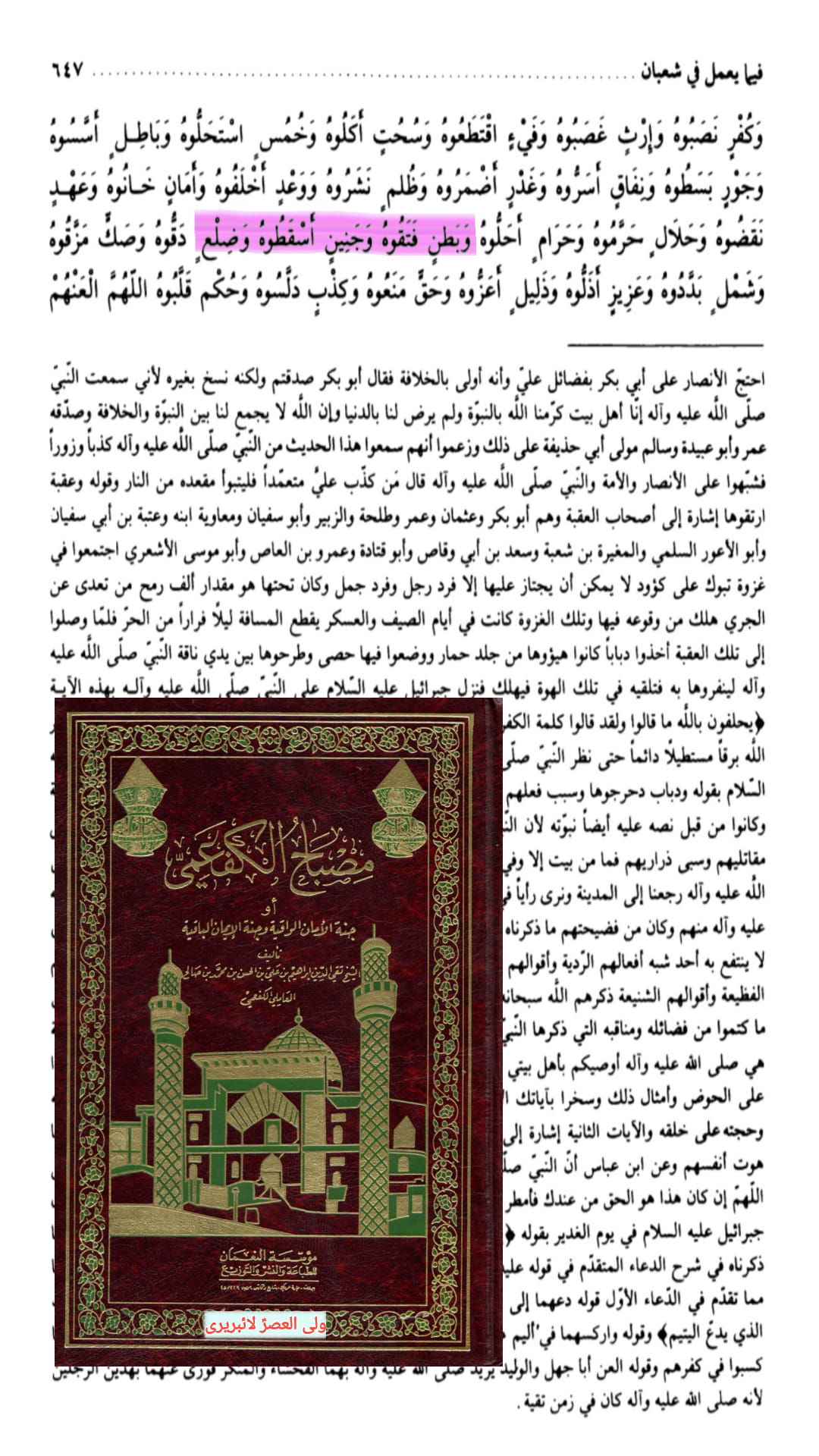 الصدیقة الکبریٰ سیدہ زھراء س کی شہادت اور اثبات تواتر