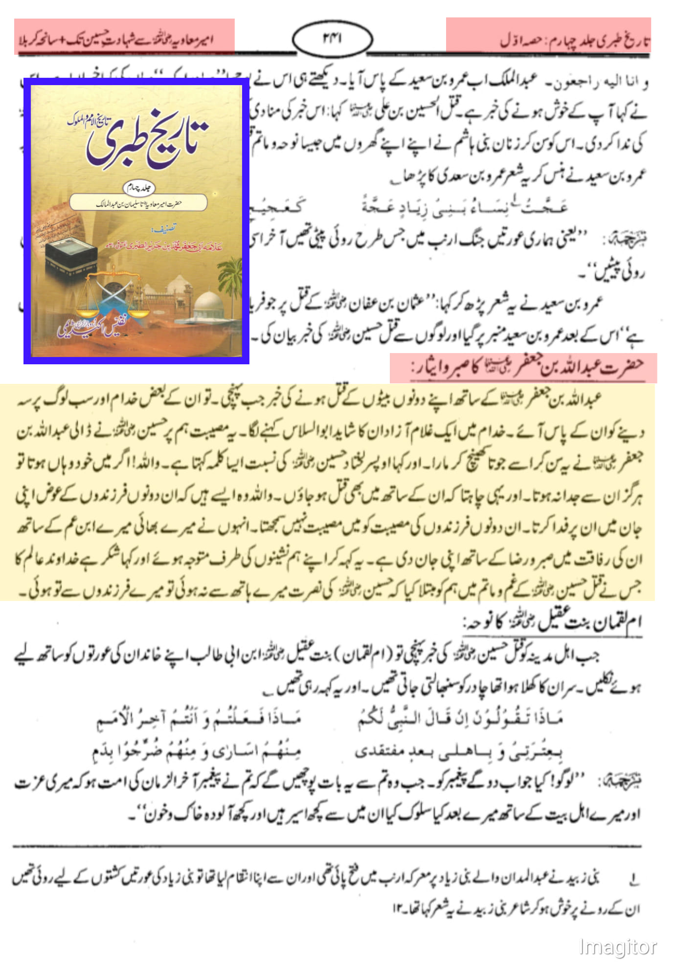 واقعه کربلا اور شہادت امام حسین علیہ السلام حقائق کی روشنی میں