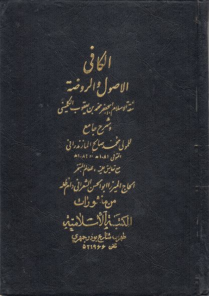 اميرالمؤمنين( علیھ السلام ) کی تنہائی