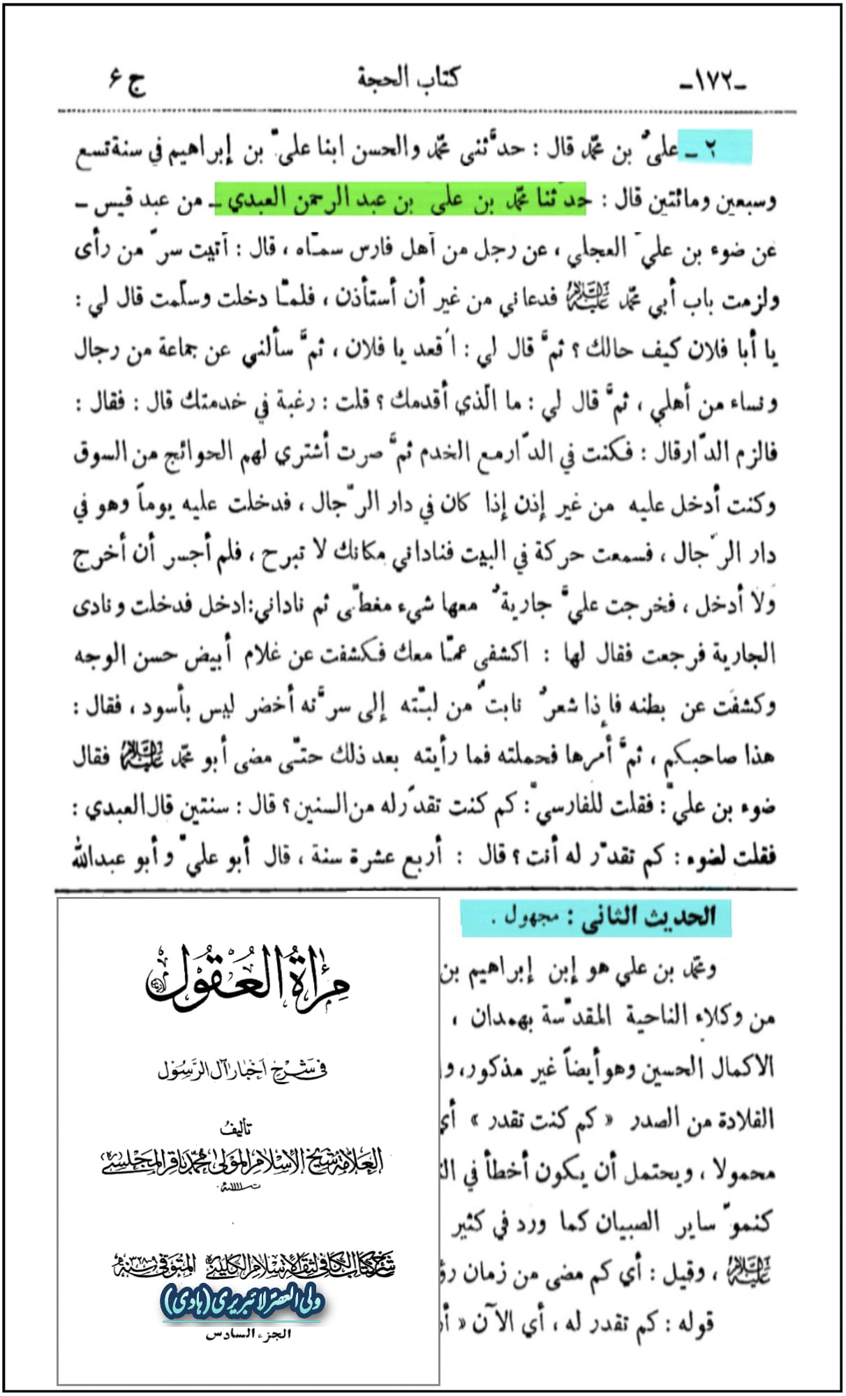 کیا امام مہدی ع کے جسم پر سب بال سبز رنگ کے ہیں؟