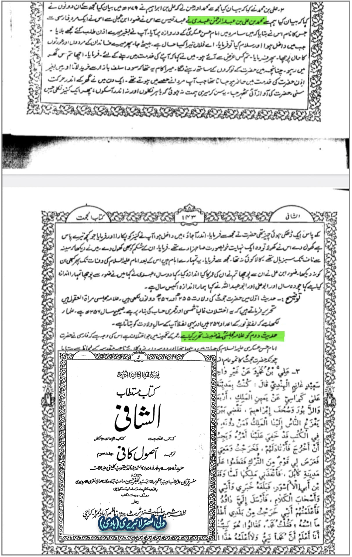 کیا امام مہدی ع کے جسم پر سب بال سبز رنگ کے ہیں؟