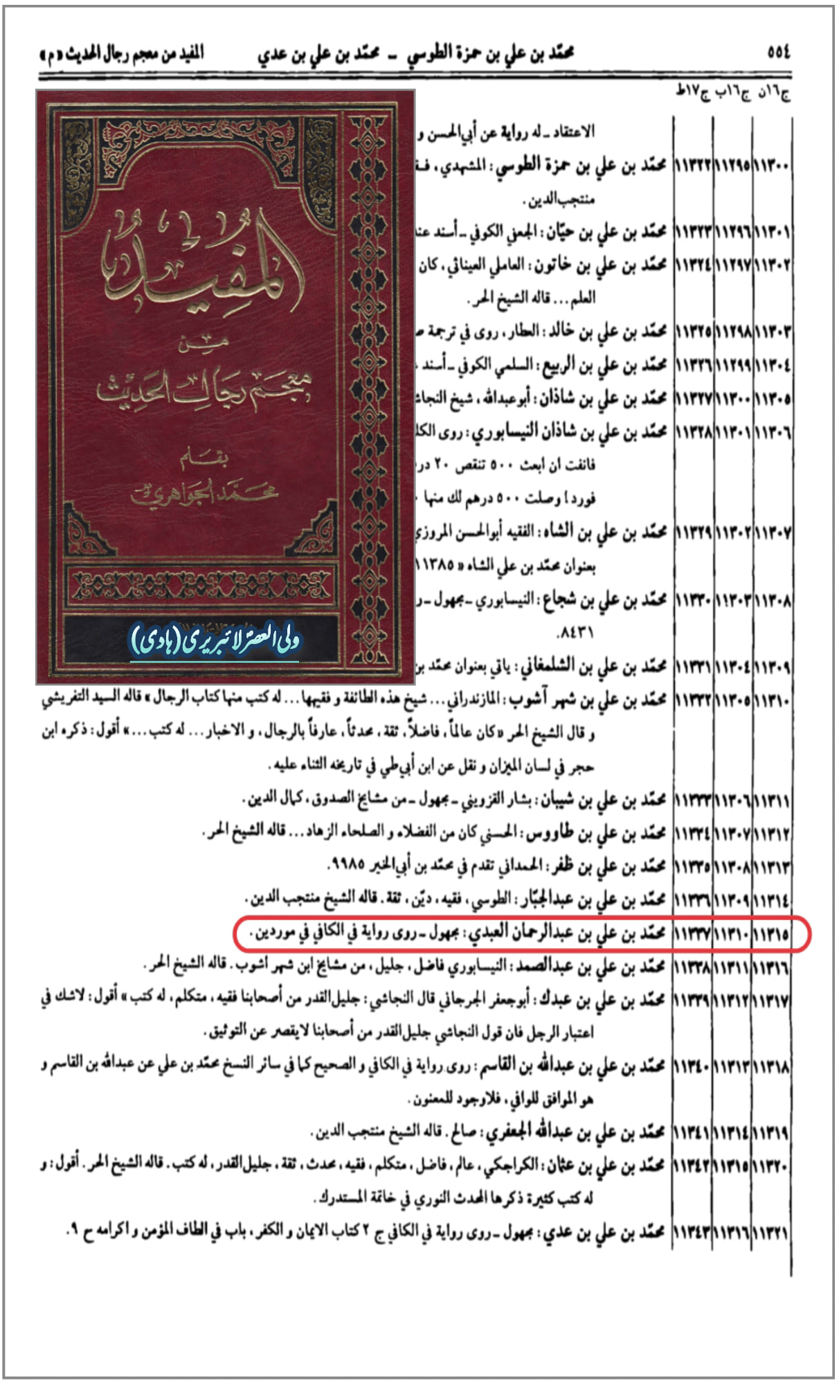کیا امام مہدی ع کے جسم پر سب بال سبز رنگ کے ہیں؟