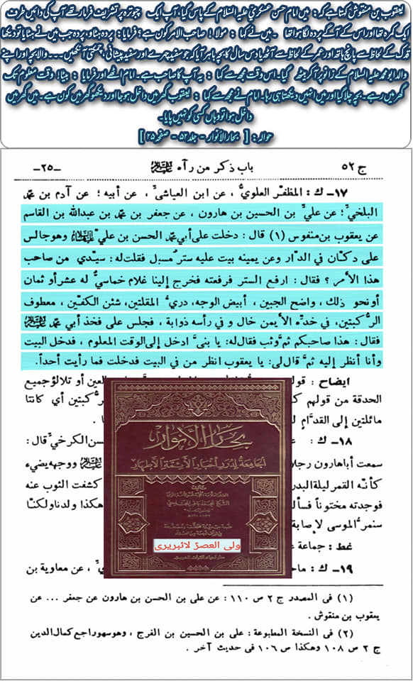 کیا امام مہدی ع کے جسم پر سب بال سبز رنگ کے ہیں؟