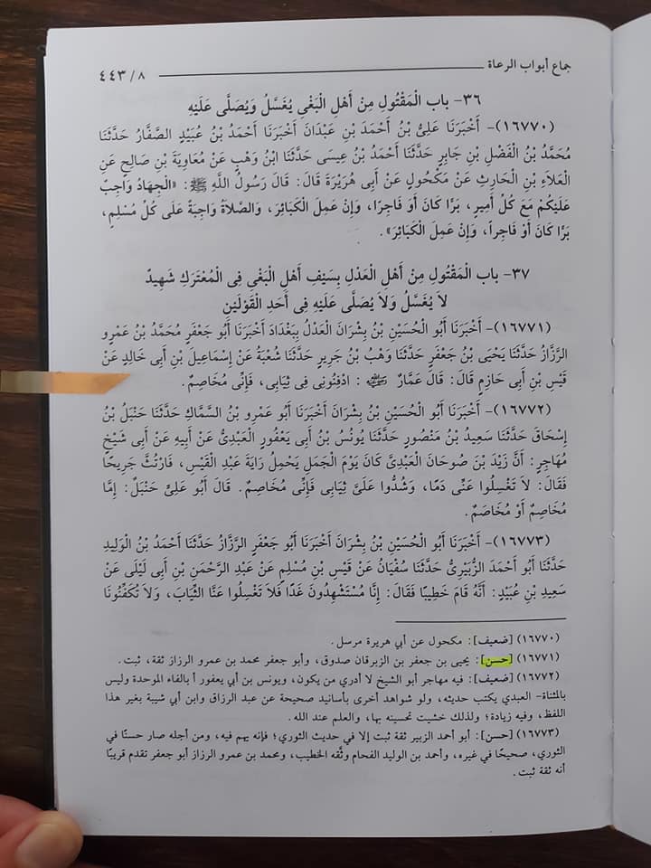 عمار بن یاسر کے مطابق وہ قیامت کے روز بھی معاویہ ابن ابی سفیان سے جھگڑا کرے گا
