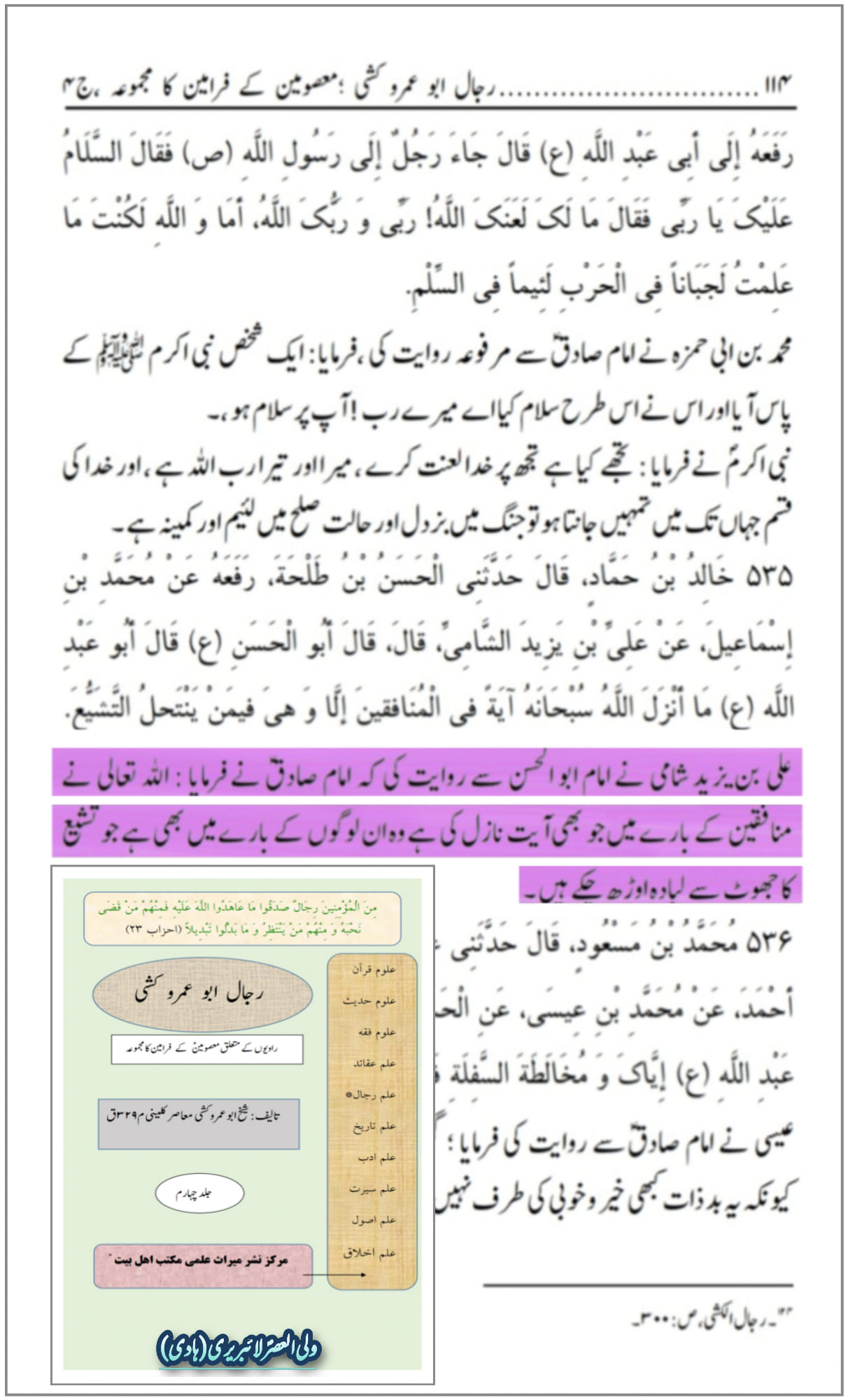 کیا امام صادق نے فرمایا : اللہ تعالی نے منافقین کے بارے میں جتنی آیات نازل فرمائی ہیں سب اہل تشیع کے بارے میں ہیں