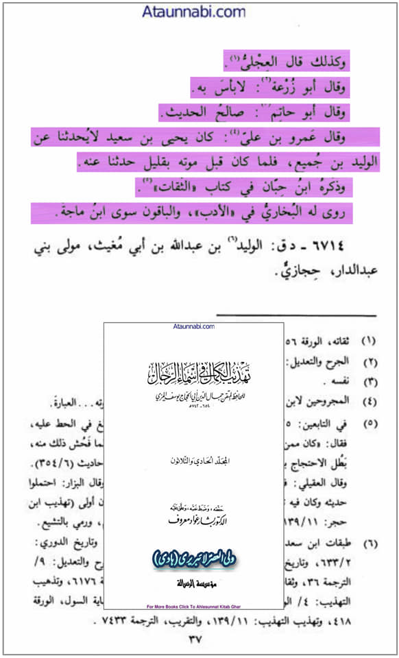 کیا امام صادق نے فرمایا : اللہ تعالی نے منافقین کے بارے میں جتنی آیات نازل فرمائی ہیں سب اہل تشیع کے بارے میں ہیں