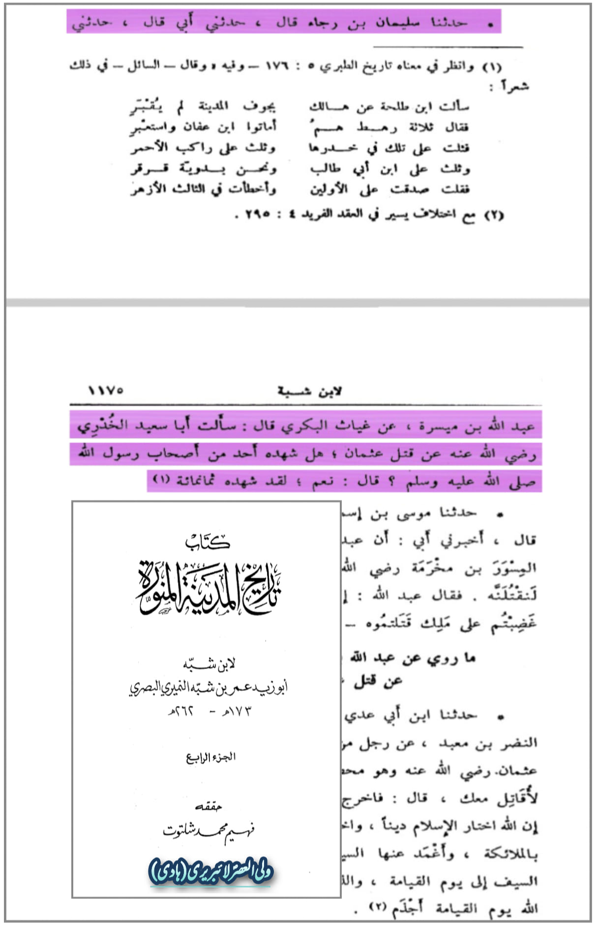 محمد بن ابی بکر