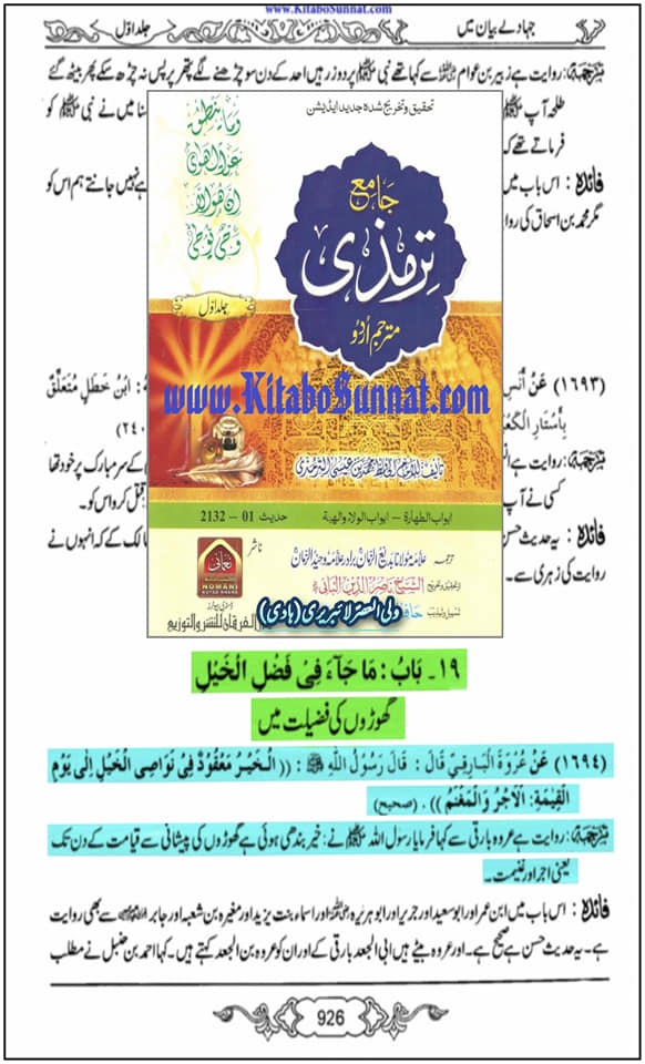گھوڑے کی فضیلت