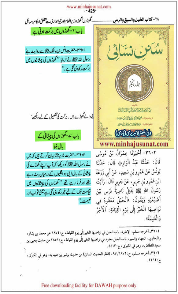 گھوڑے کی فضیلت