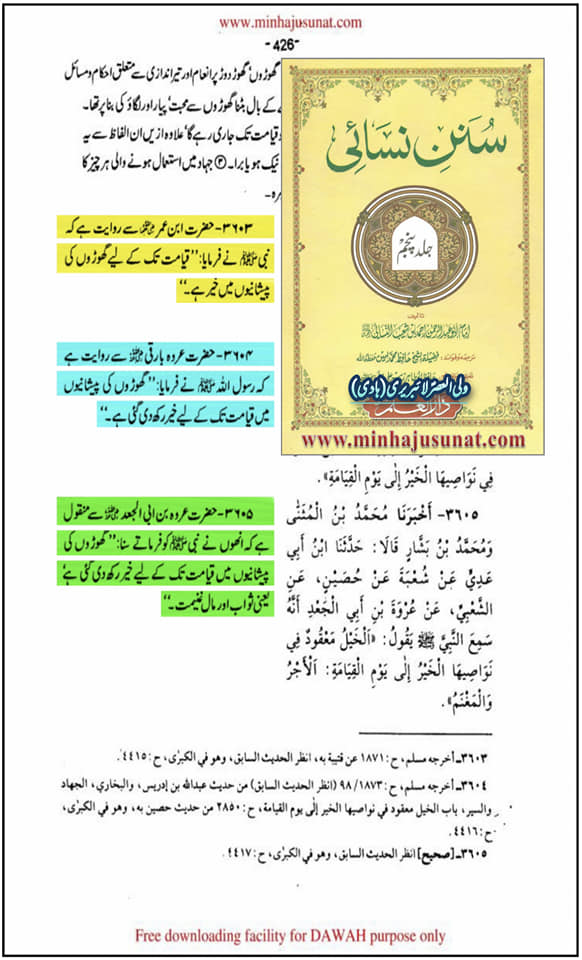 گھوڑے کی فضیلت