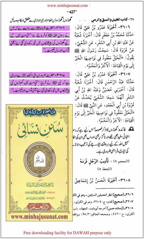 گھوڑے کی فضیلت