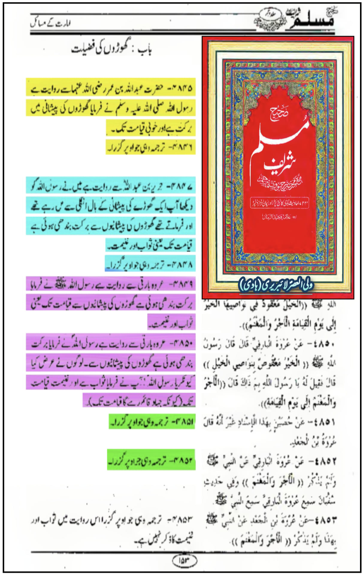 گھوڑے کی فضیلت