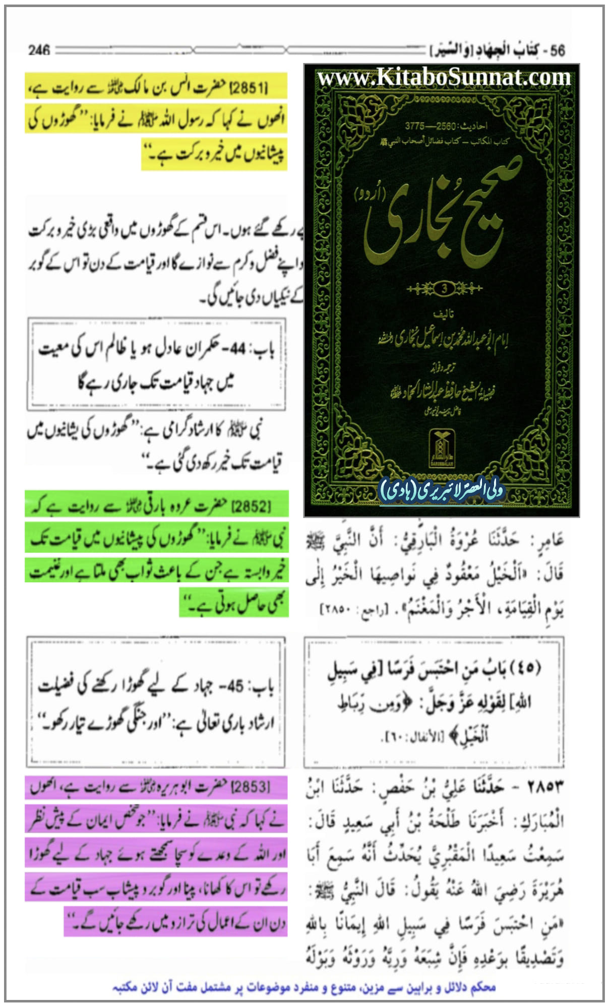 گھوڑے کی فضیلت