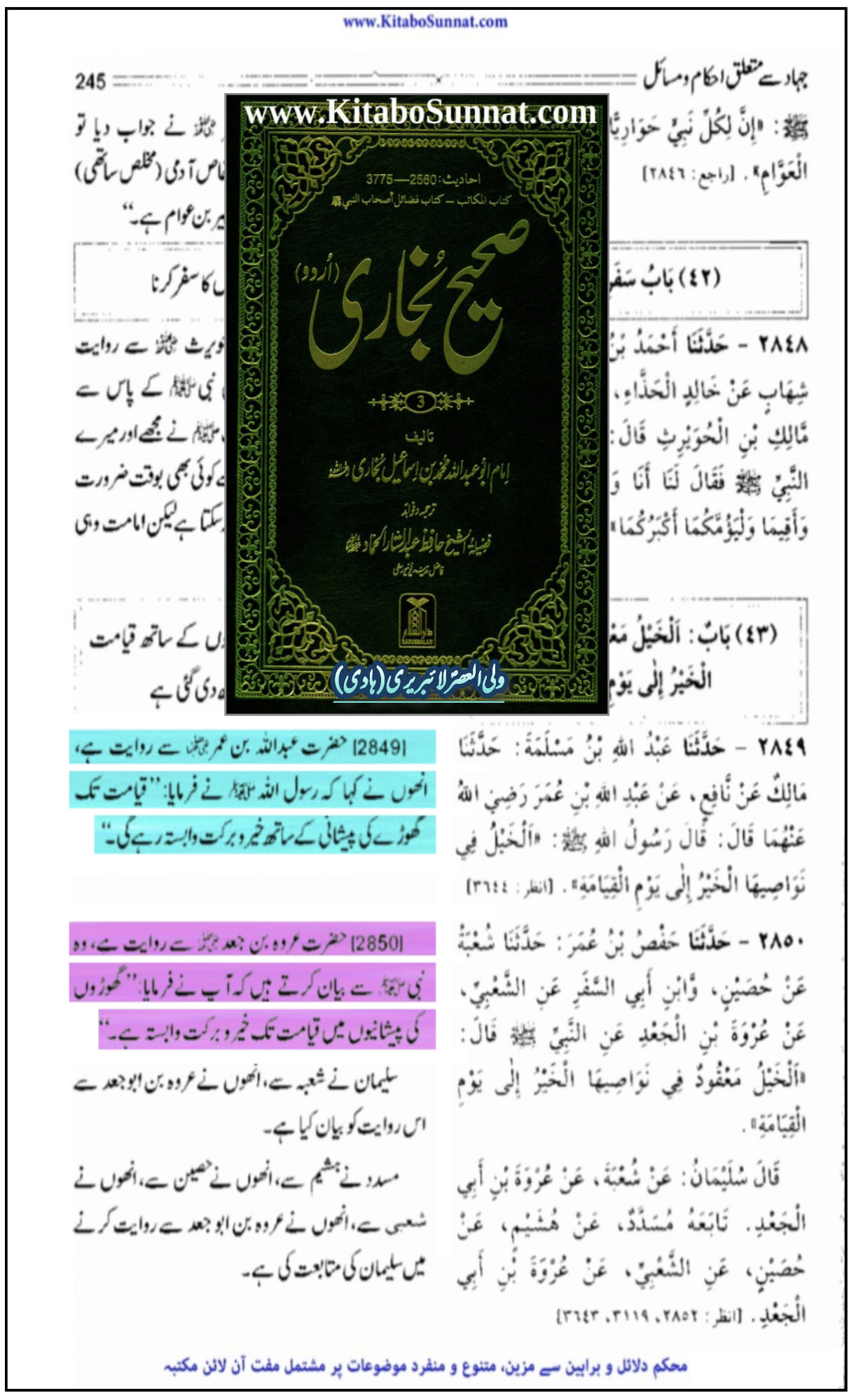 گھوڑے کی فضیلت