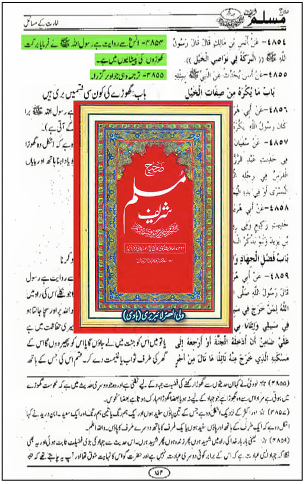 گھوڑے کی فضیلت
