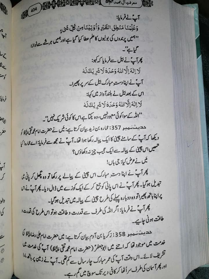 امام محمد تقی علیہ سلام اور مصائب زہرا ع